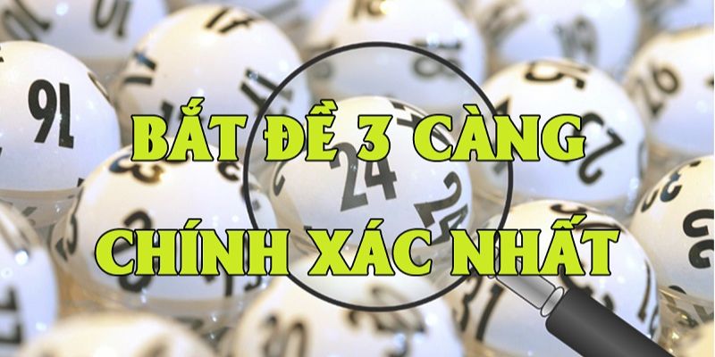 Tìm hiểu về 3 càng đề chi tiết