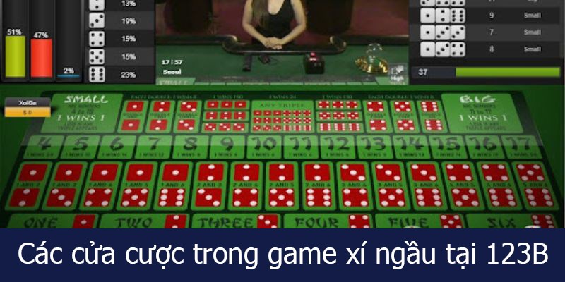 Các cửa cược trong game xí ngầu tại 123B