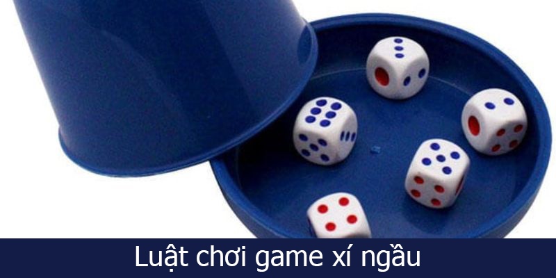 Luật chơi game xí ngầu